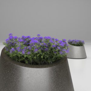 Artform - Eccentrica with flowers Type 2