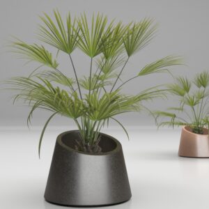 Artform - Eccentrica with Mediterranean plant