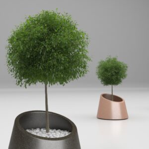 Artform - Eccentrica with tree Type 2
