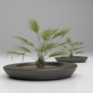 Escofet - NIU Mediterranean plant
