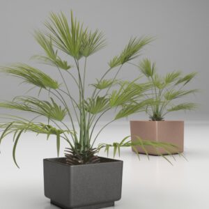 Magourban - 143 planter Mediterranean plant