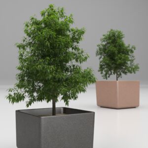Magourban - 143 planter Tree 1