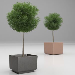 Magourban - 143 planter Tree 2