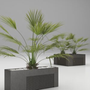 Magourban - Tanit planters Mediterranean plant